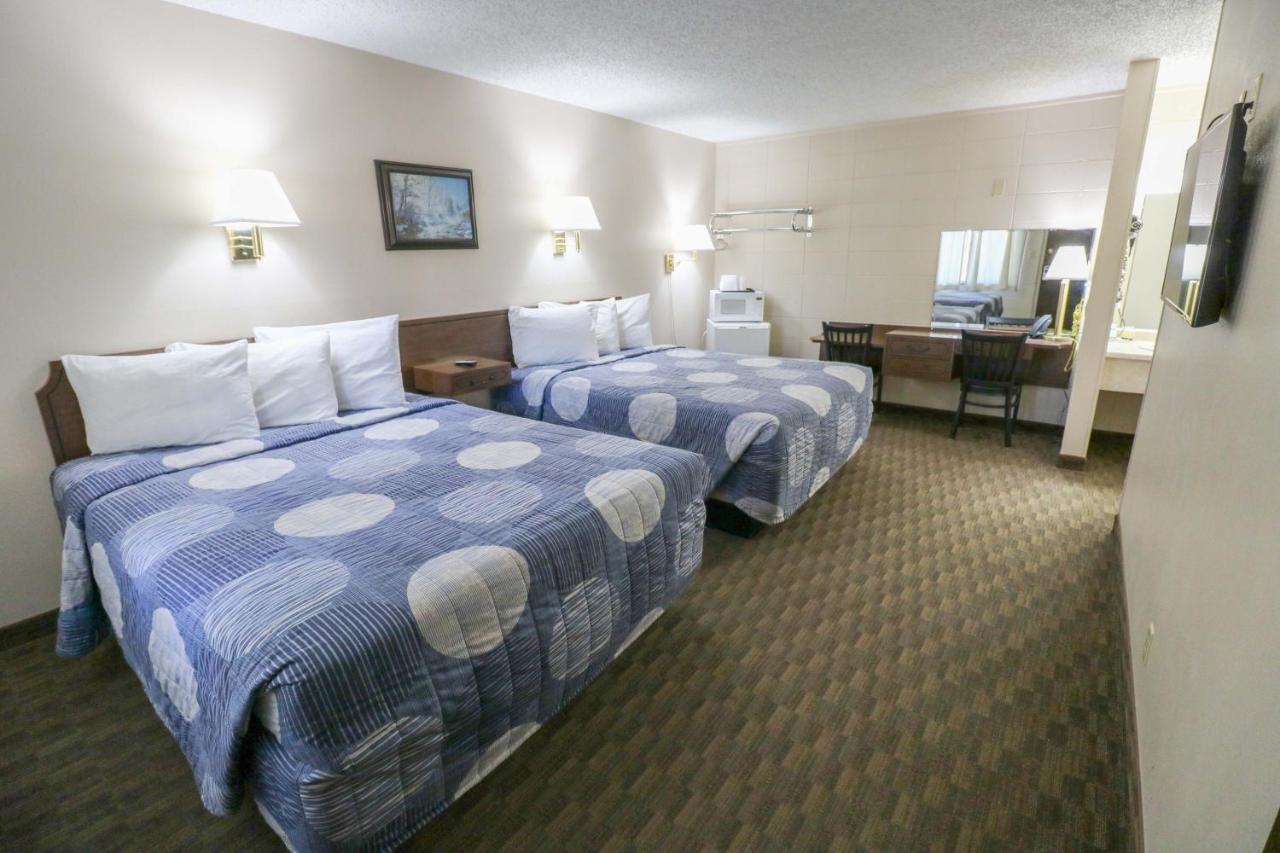 Motel Bear